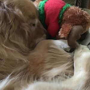 Meet your Posher, Debra